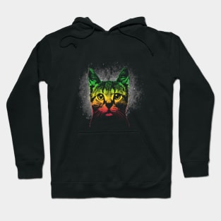 Cute Cat Reggae Color Hoodie